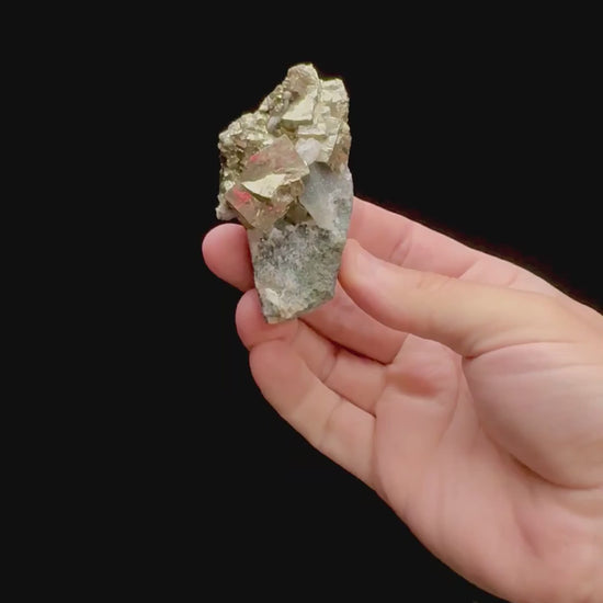 Specimen rotation video 0310