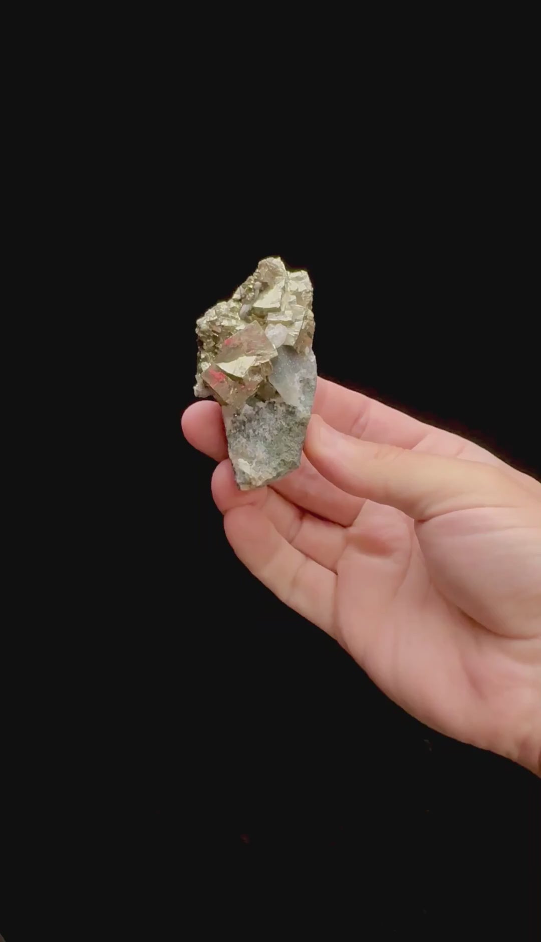 Specimen rotation video 0310