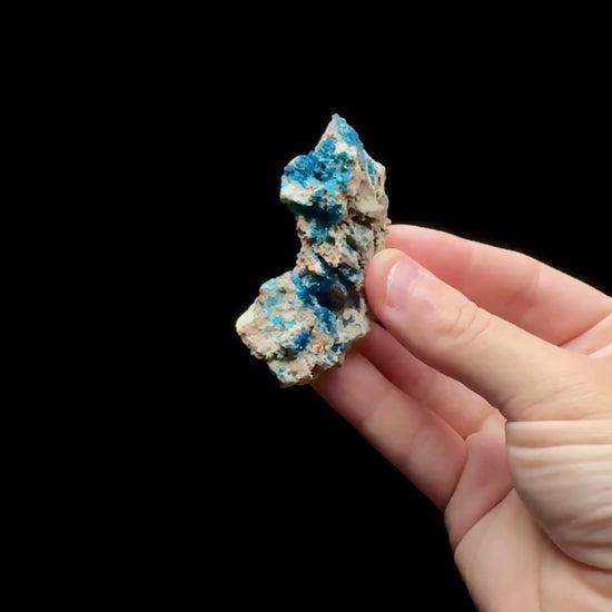 Specimen rotation video 0654