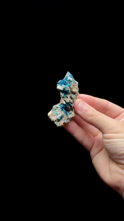 Specimen rotation video 0654