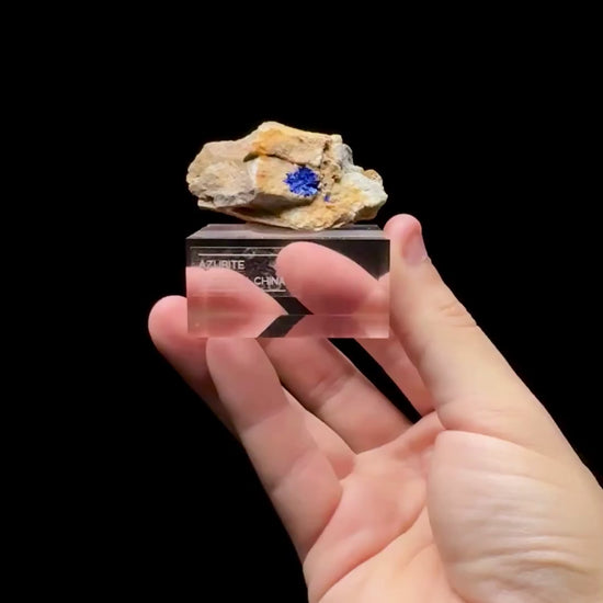 Specimen rotation video 0629