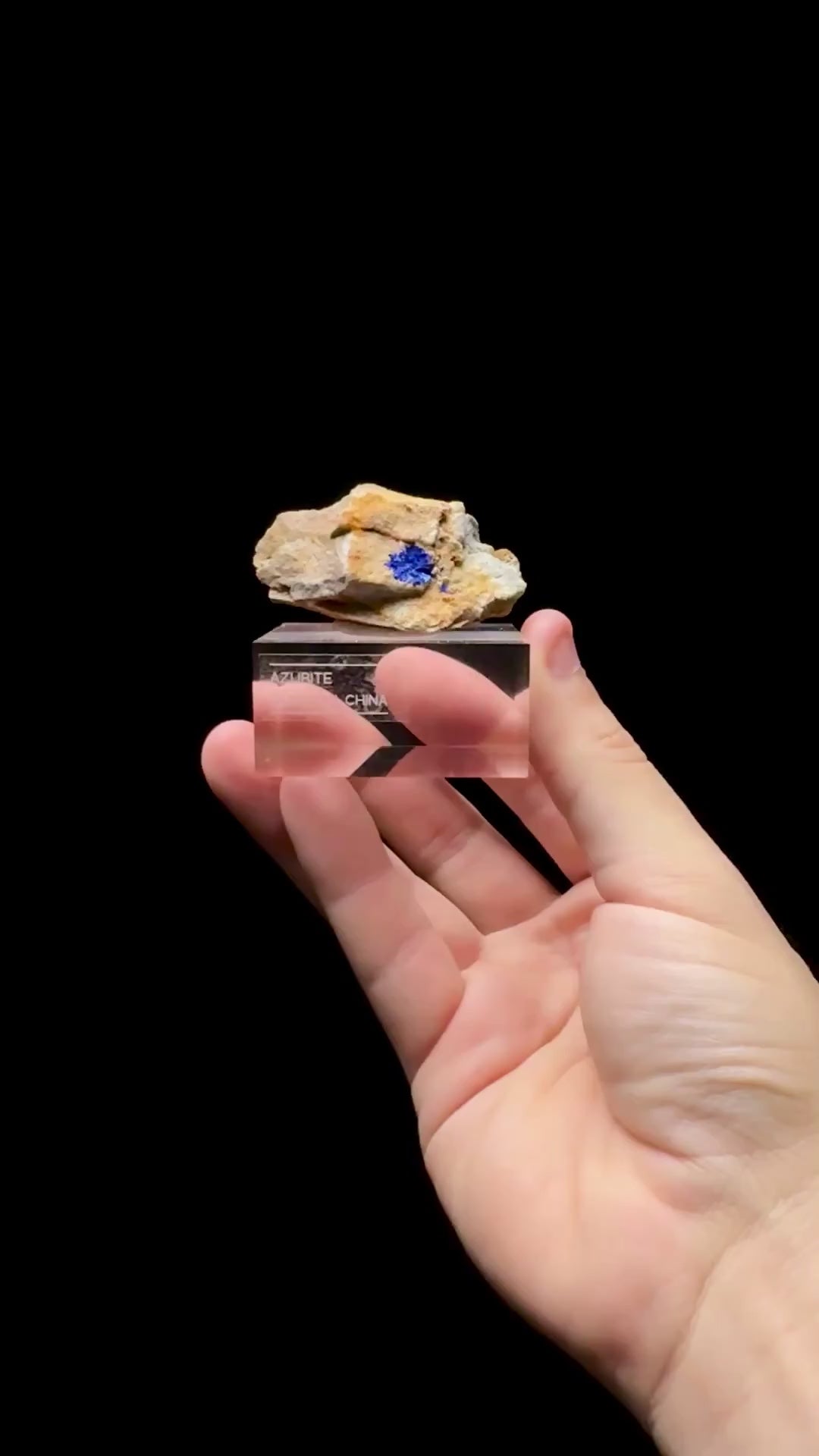 Specimen rotation video 0629