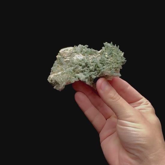 Specimen rotation video 0426