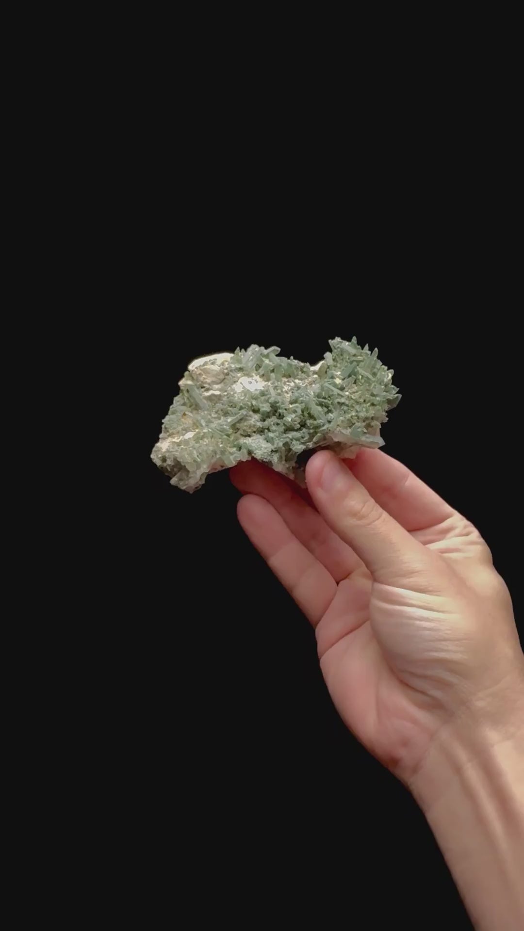 Specimen rotation video 0426