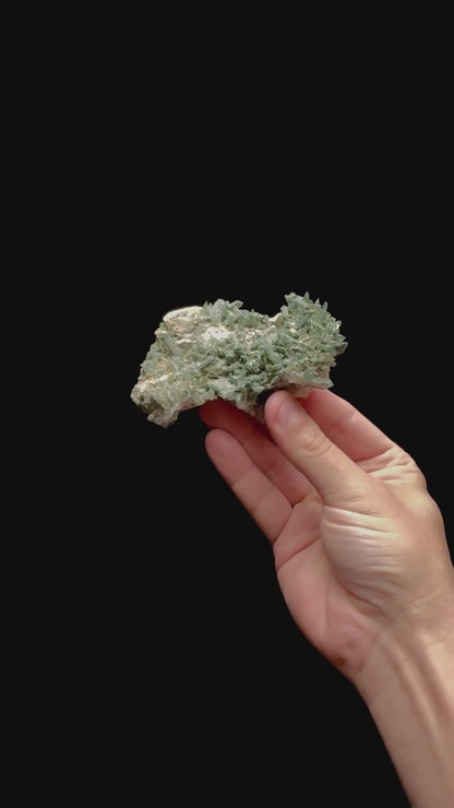 Specimen rotation video 0426