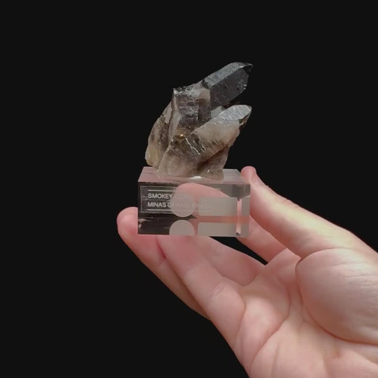 Specimen rotation video 0339