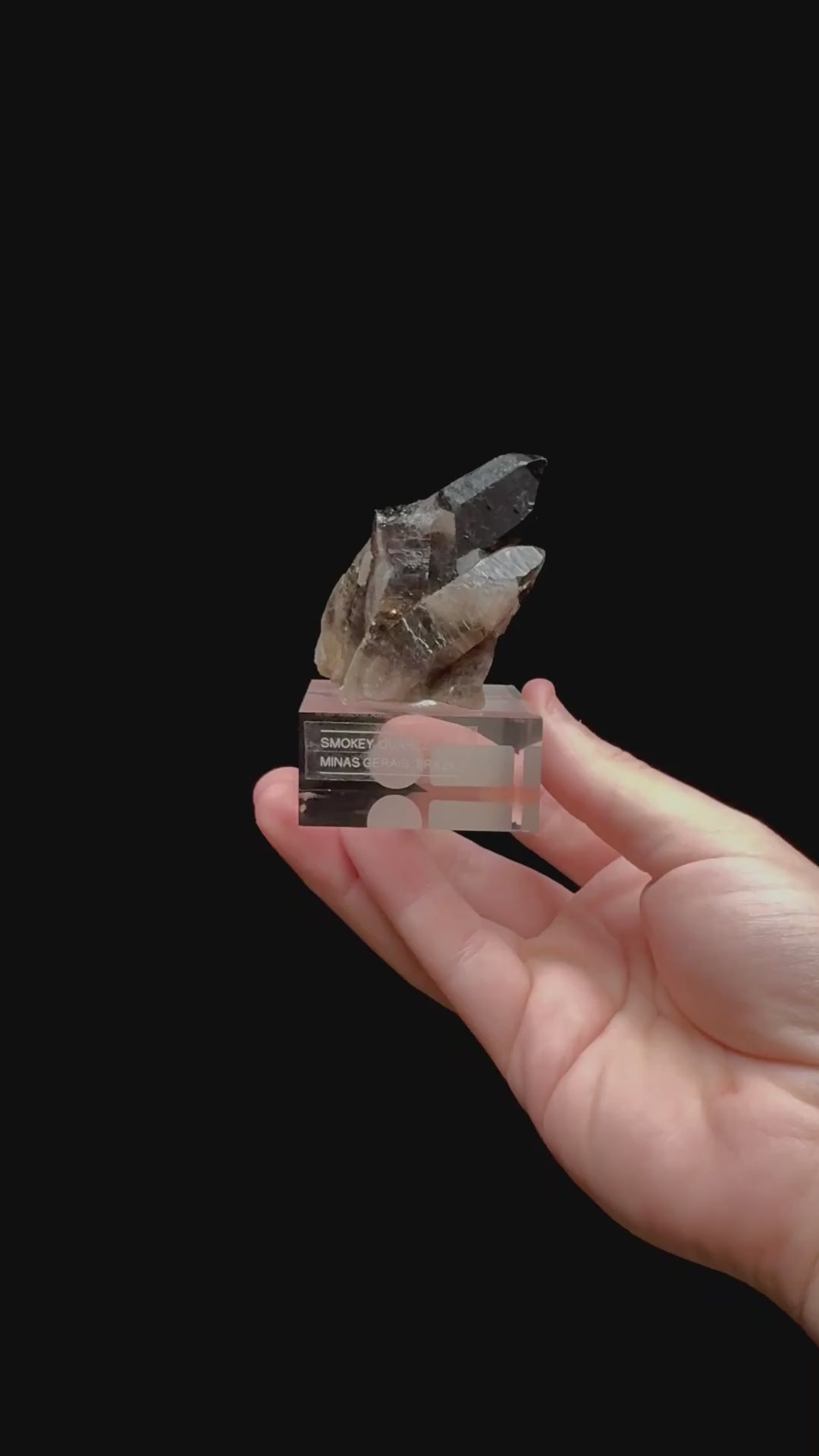 Specimen rotation video 0339