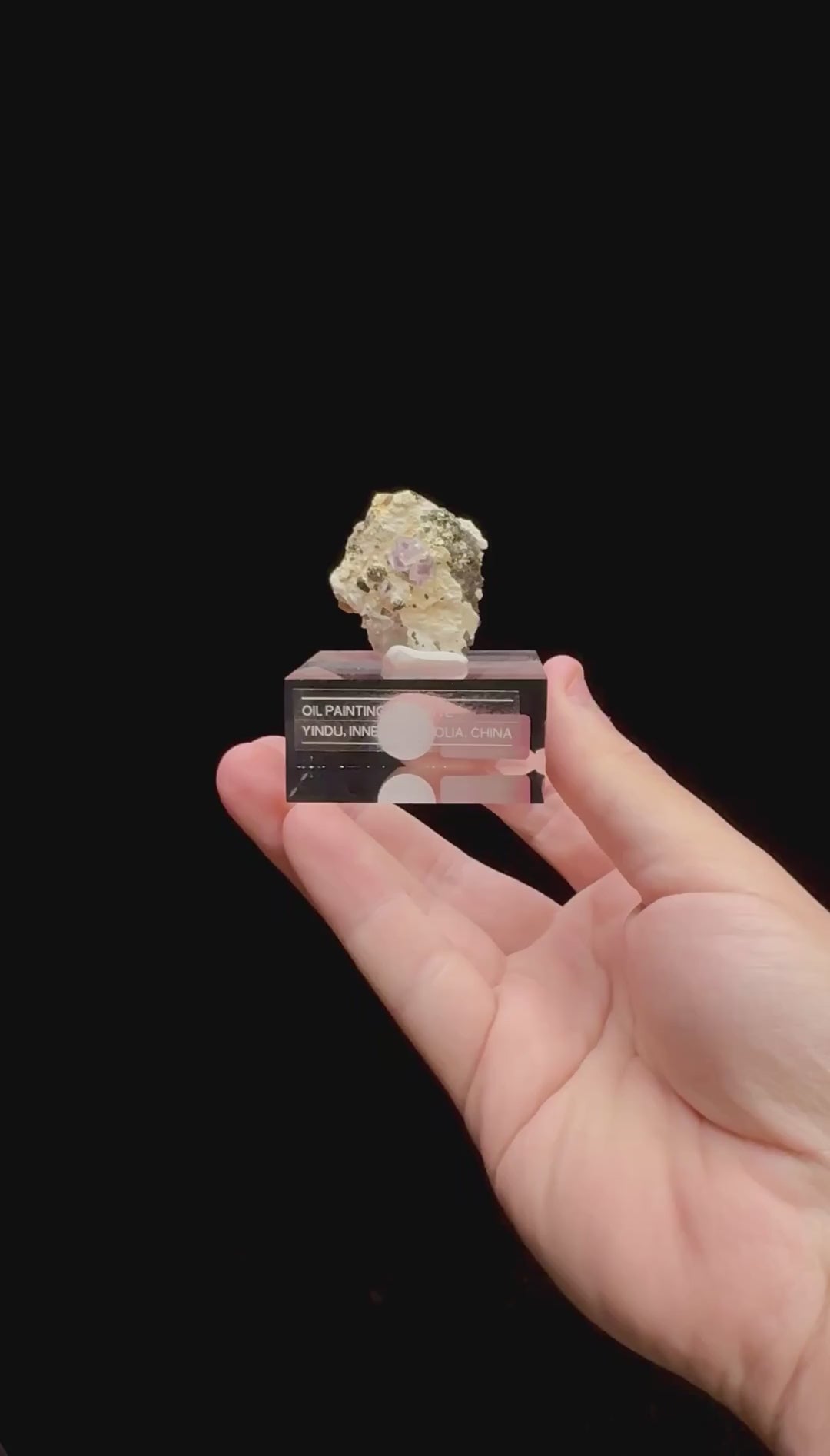 Specimen rotation video 0312