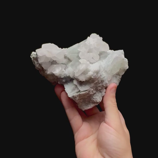 Specimen rotation video 0455