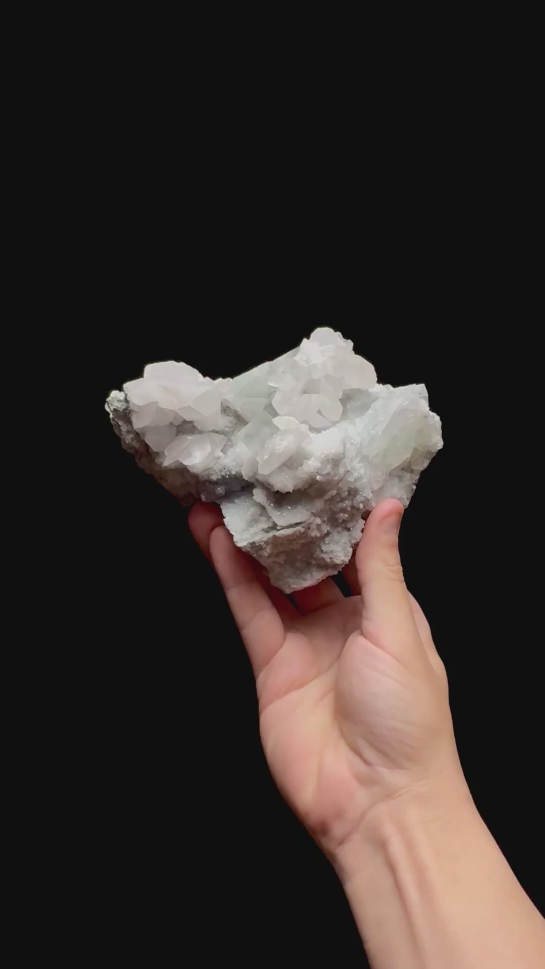 Specimen rotation video 0455