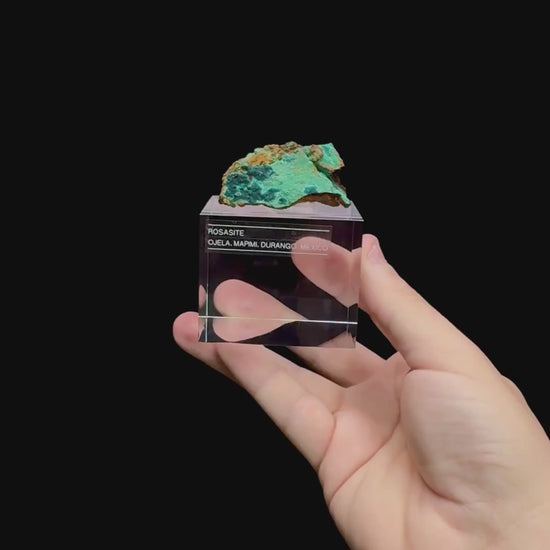 Specimen rotation video 0501