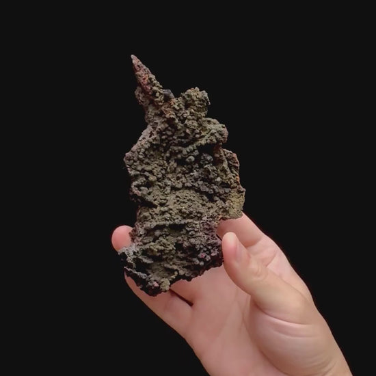 Specimen rotation video 0384