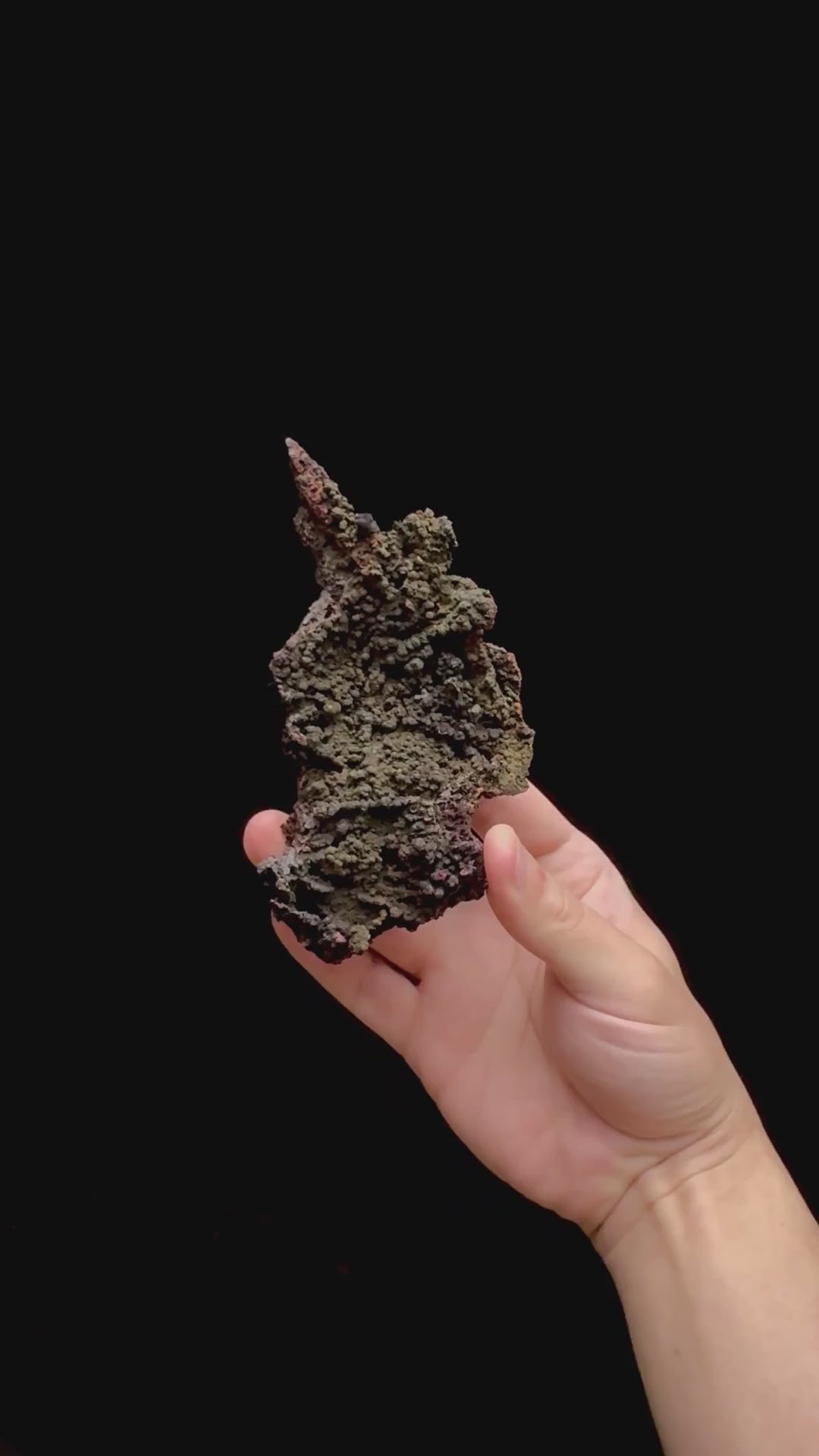 Specimen rotation video 0384