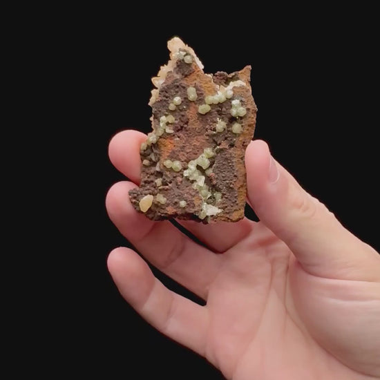 Specimen rotation video 110
