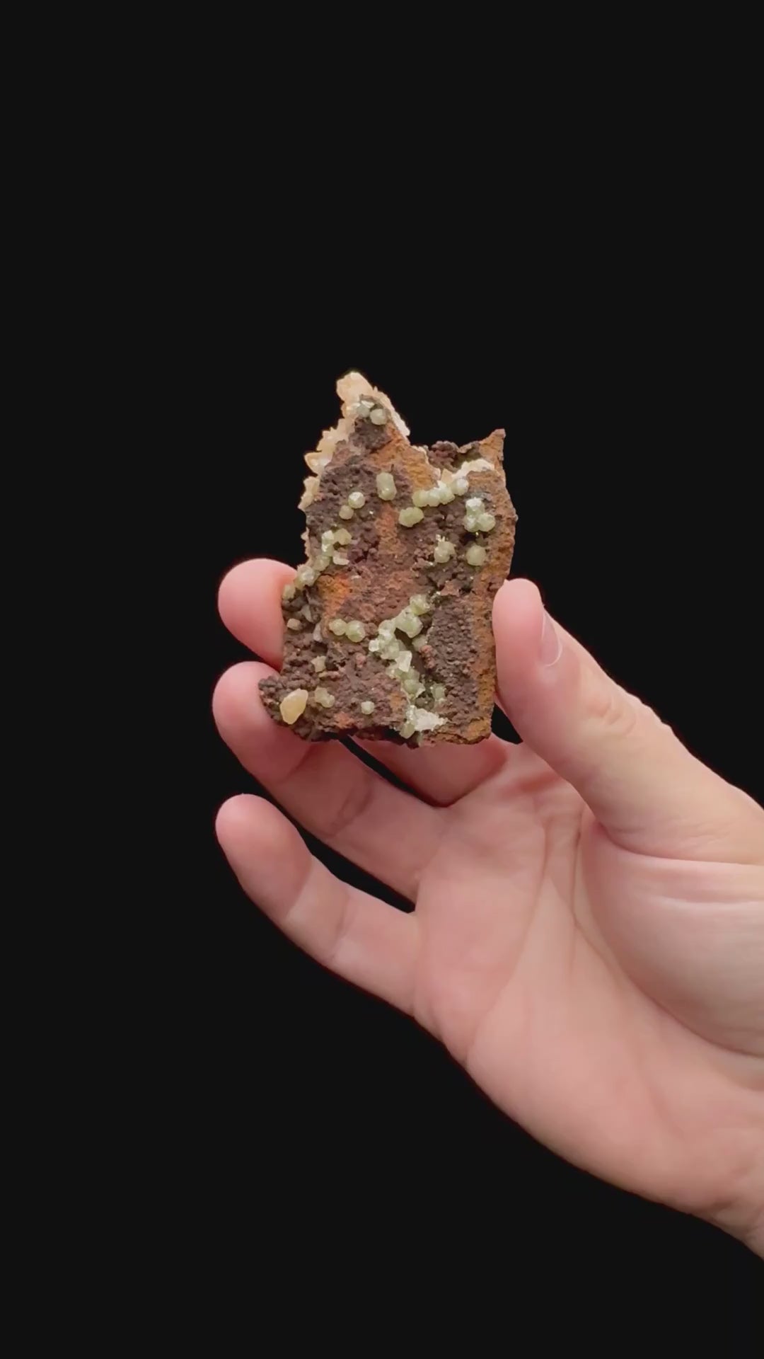 Specimen rotation video 110