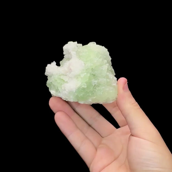 Specimen rotation video 0678