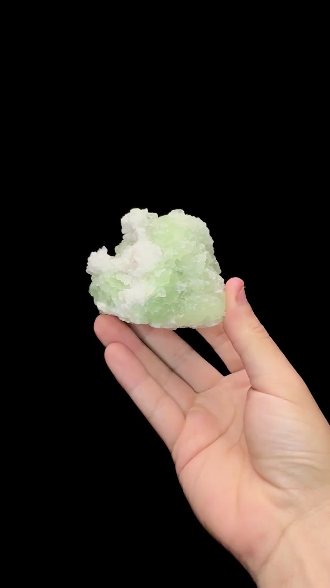 Specimen rotation video 0678