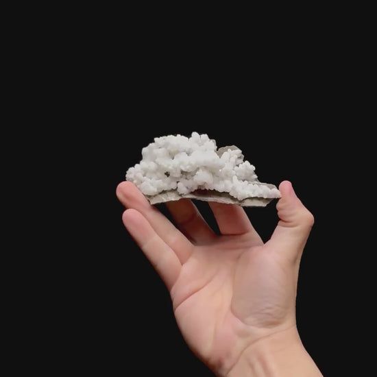 Specimen rotation video 0459
