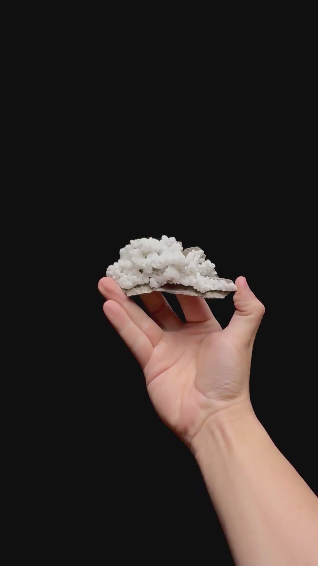 Specimen rotation video 0459