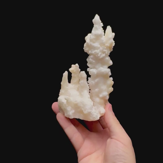 Specimen rotation video 0477