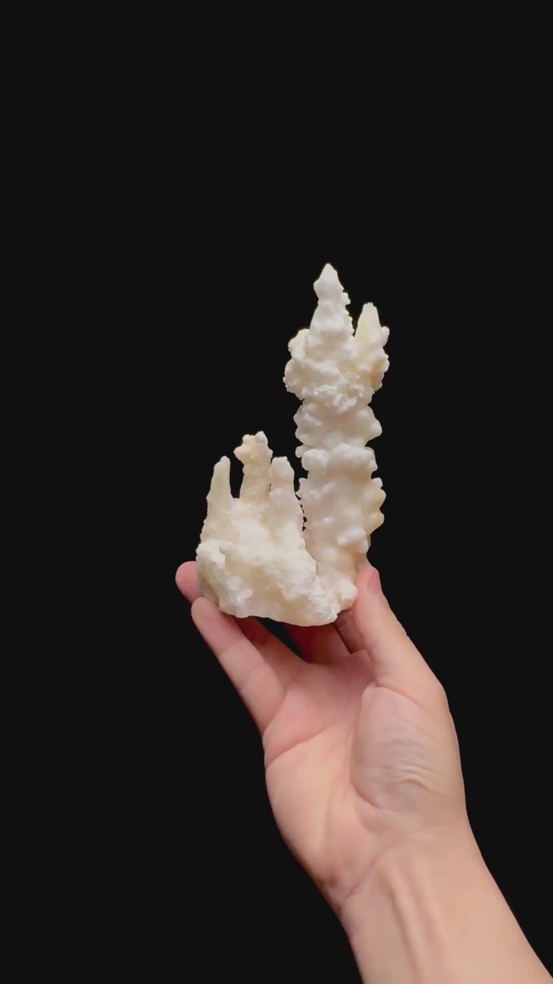 Specimen rotation video 0477