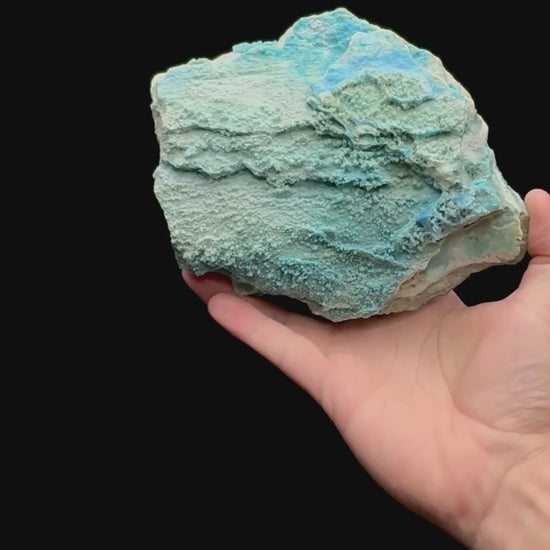 Specimen rotation video 145