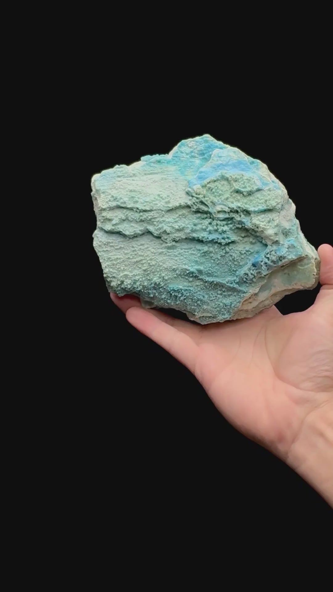 Specimen rotation video 145