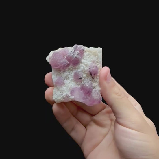 Specimen rotation video 0710