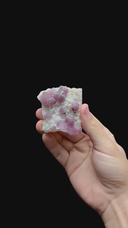 Specimen rotation video 0710