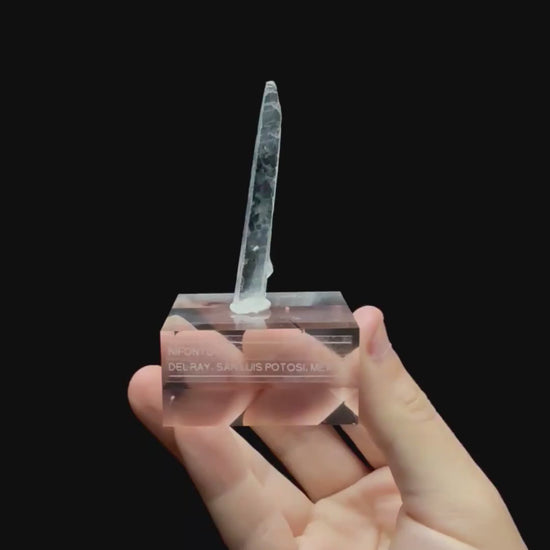 Specimen rotation video 0720