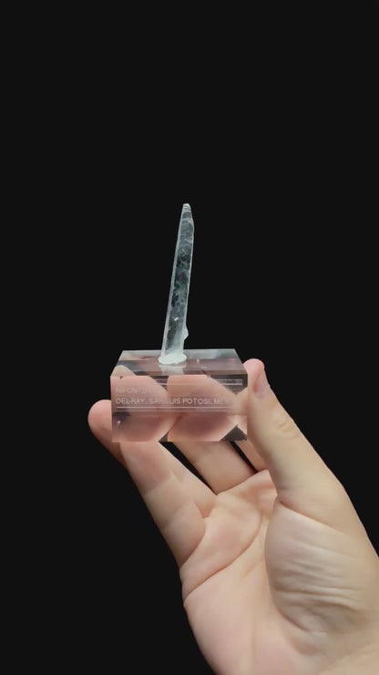 Specimen rotation video 0720