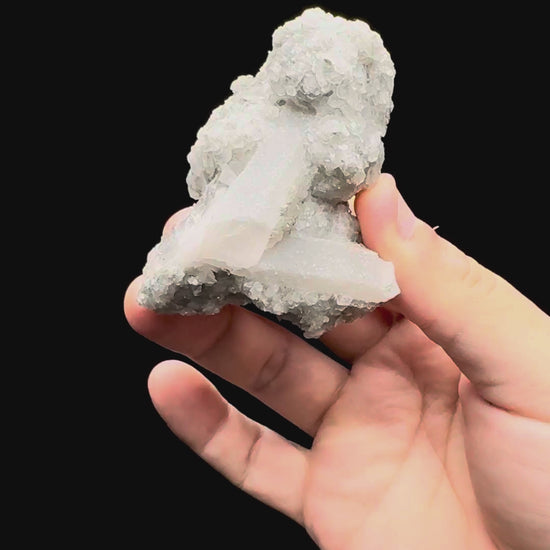Specimen rotation video 468