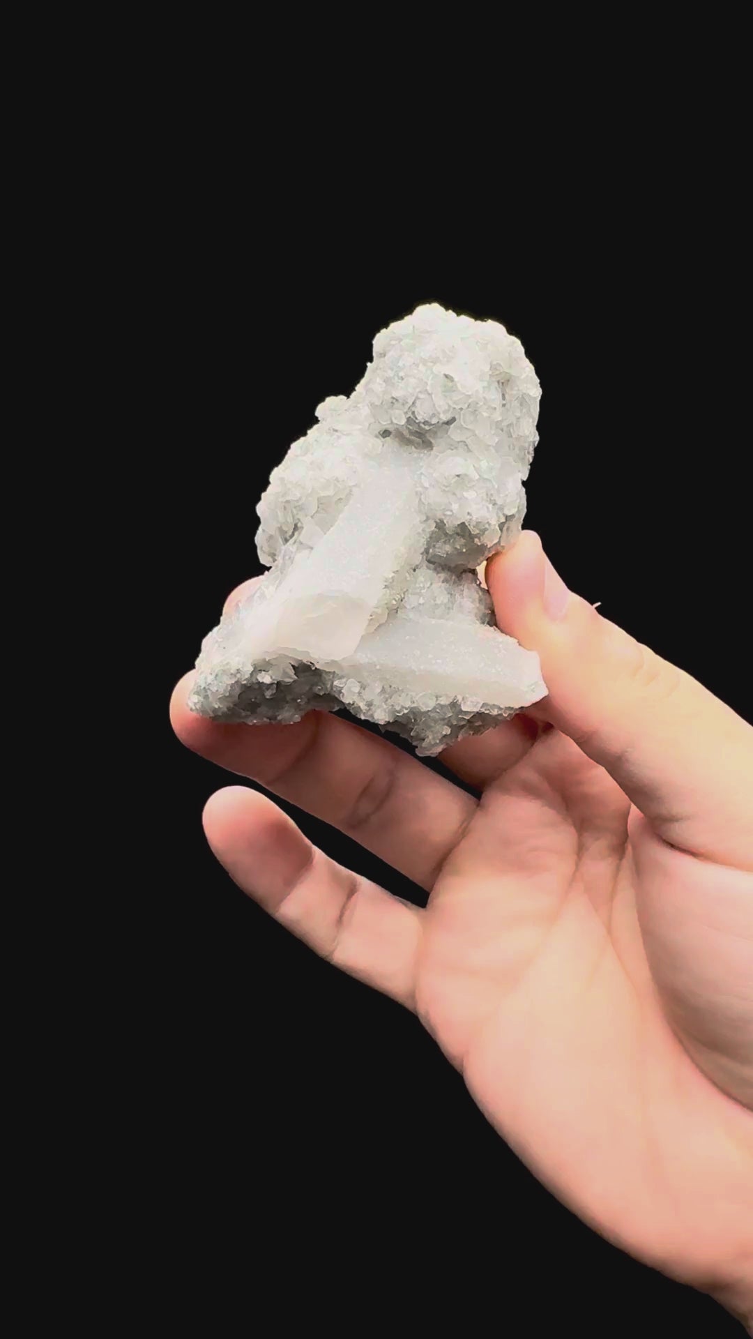 Specimen rotation video 468