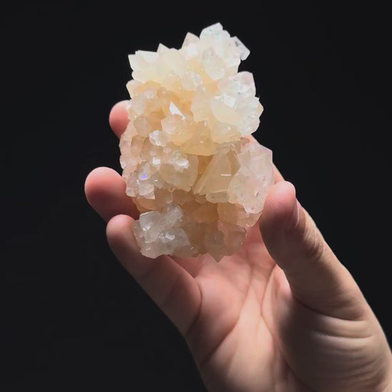 Specimen rotation video 293