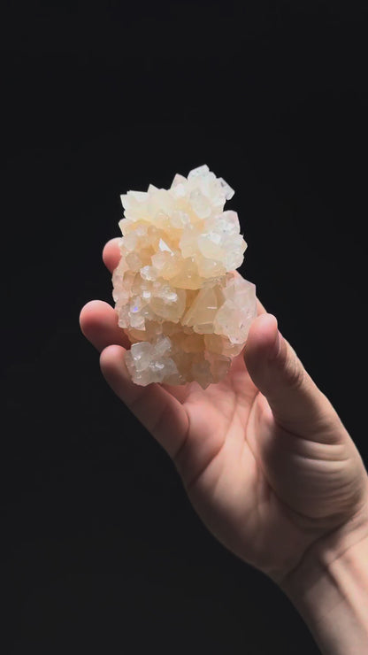 Specimen rotation video 293