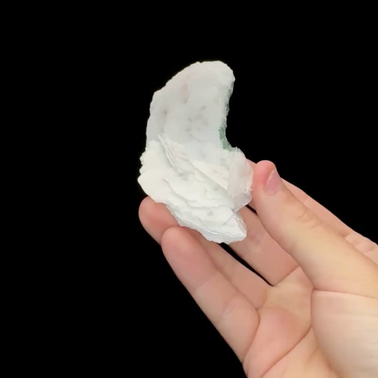 Specimen rotation video 0685