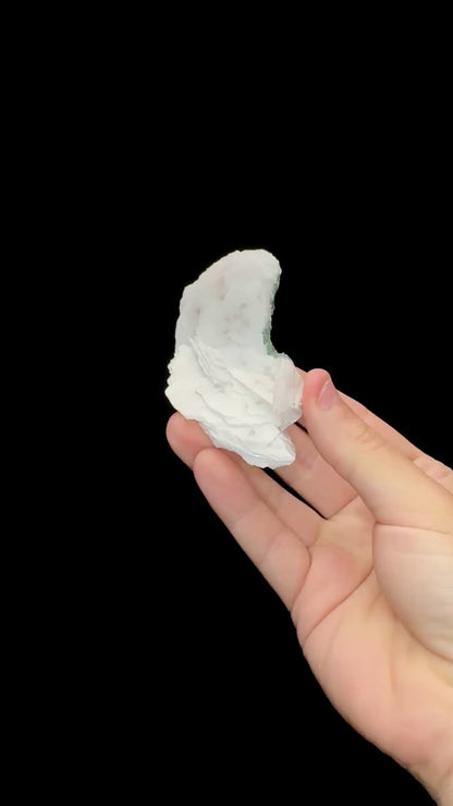 Specimen rotation video 0685