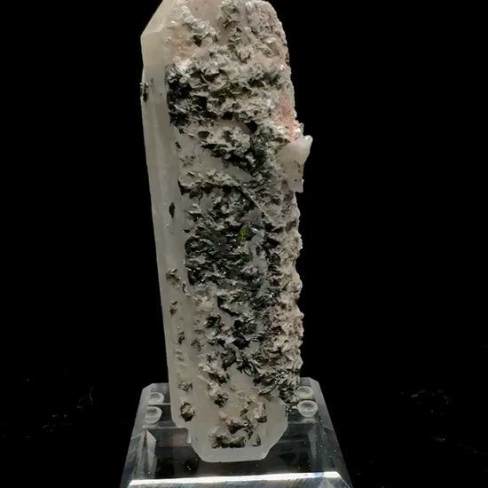 Specimen rotation video 0744