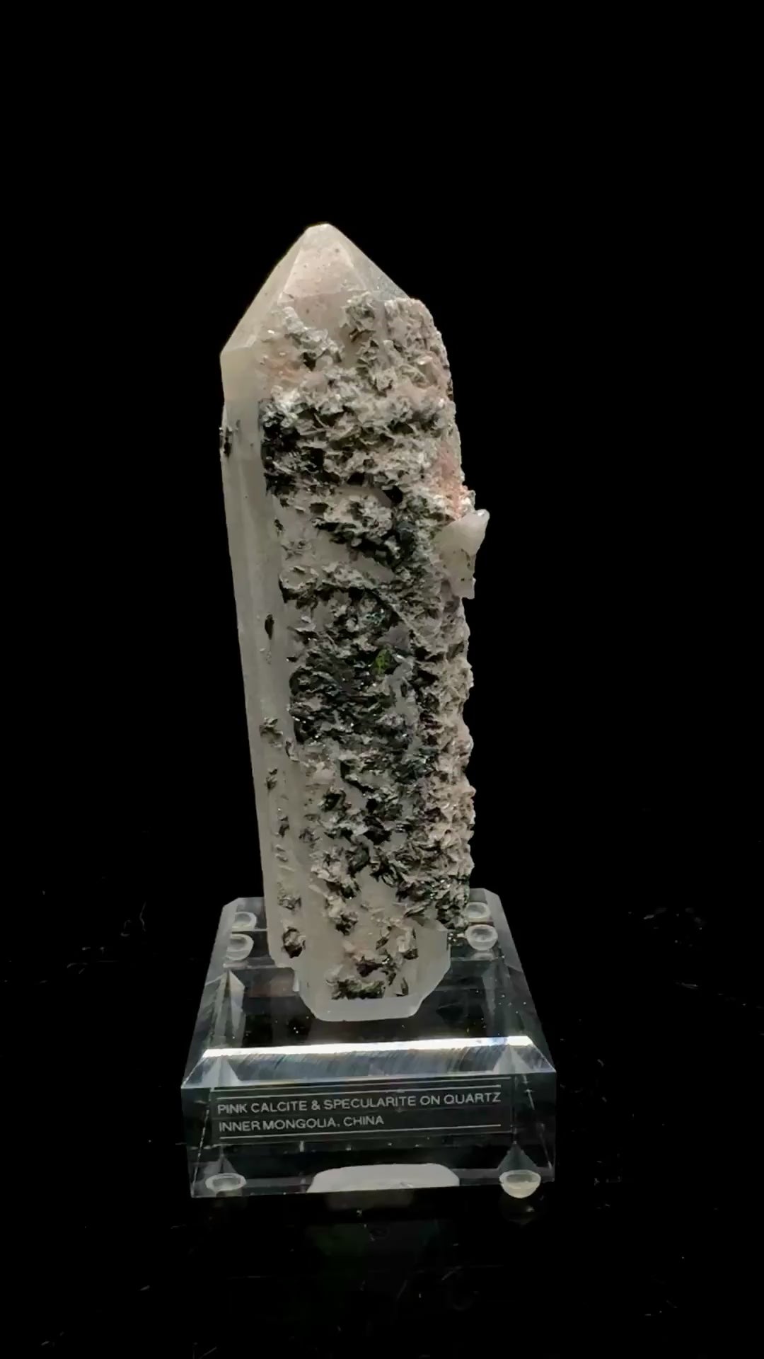 Specimen rotation video 0744