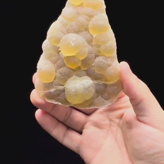 Specimen rotation video 593