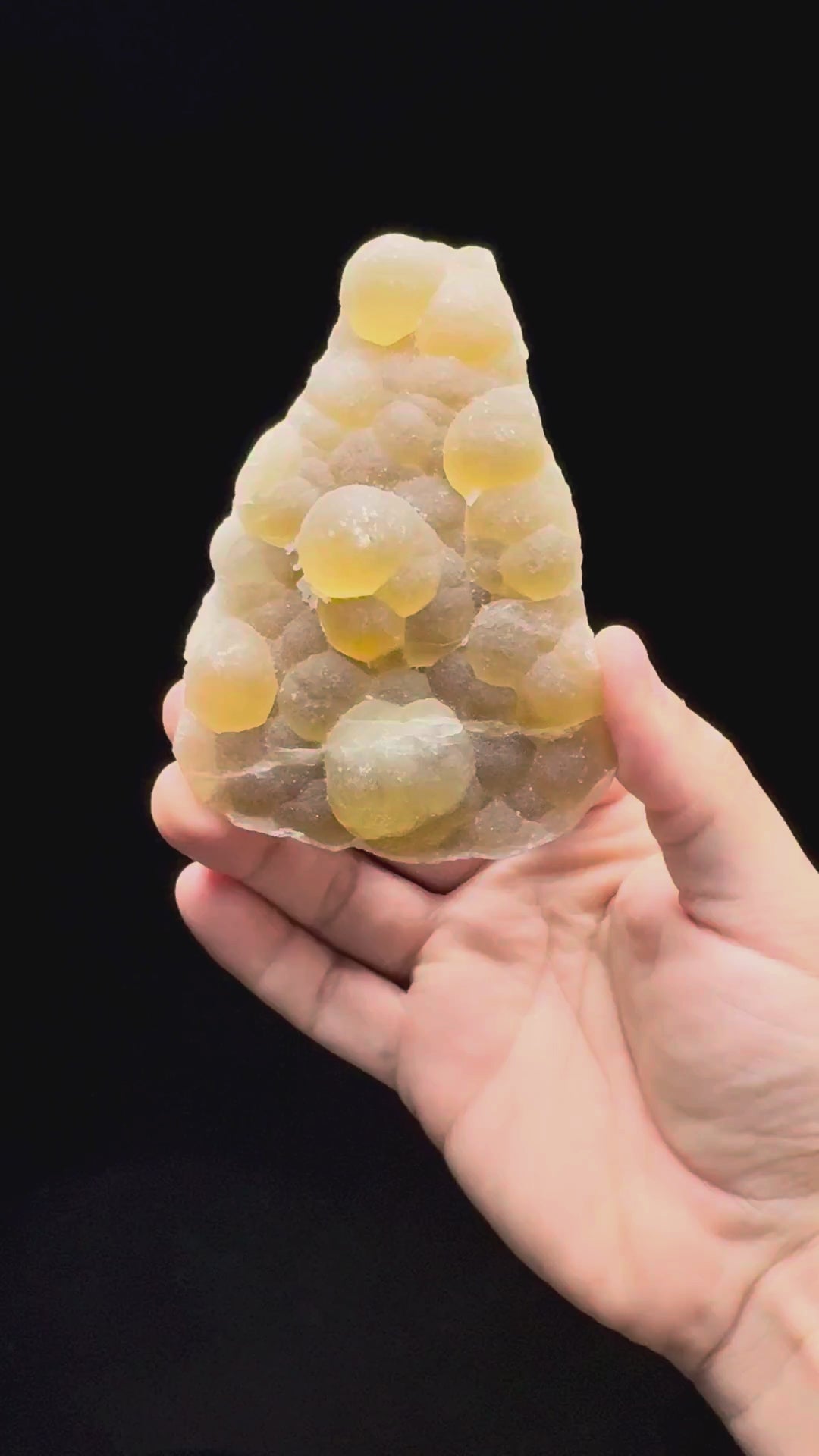 Specimen rotation video 593