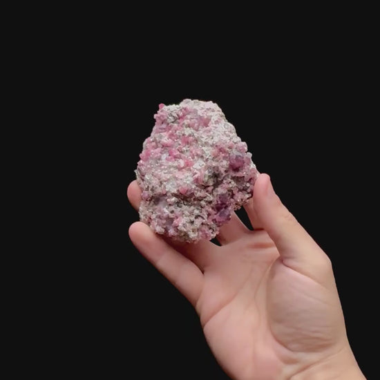 Specimen rotation video 0444