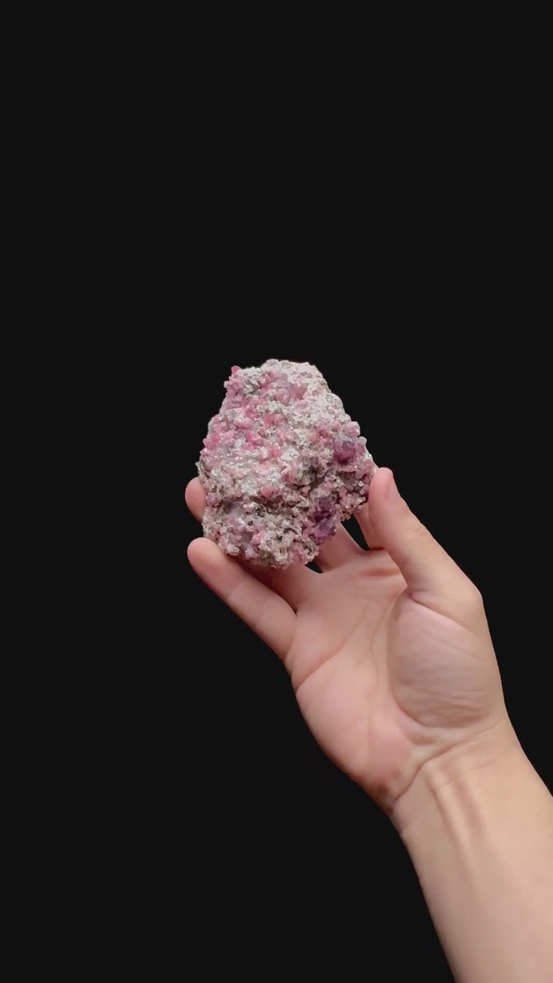 Specimen rotation video 0444