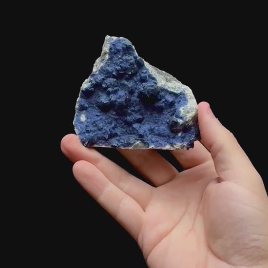 Specimen rotation video 0365