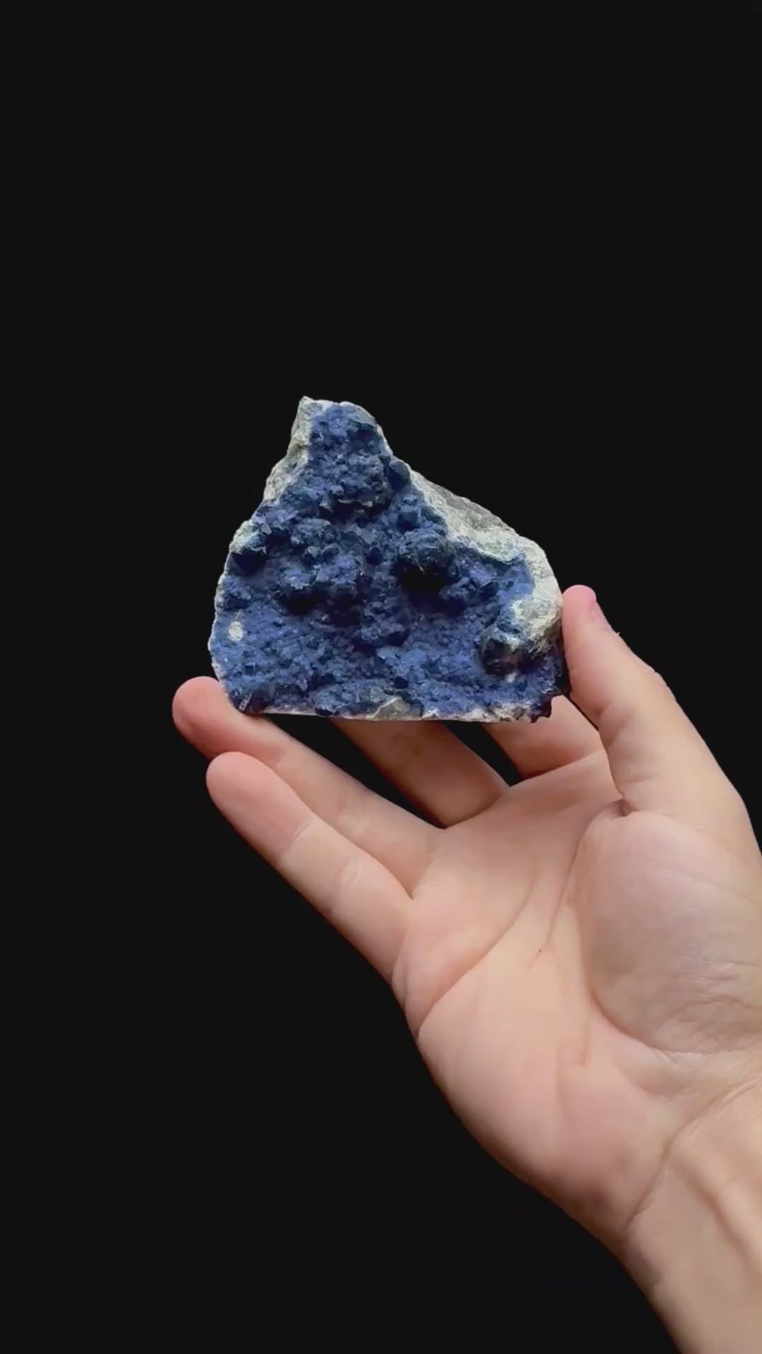 Specimen rotation video 0365