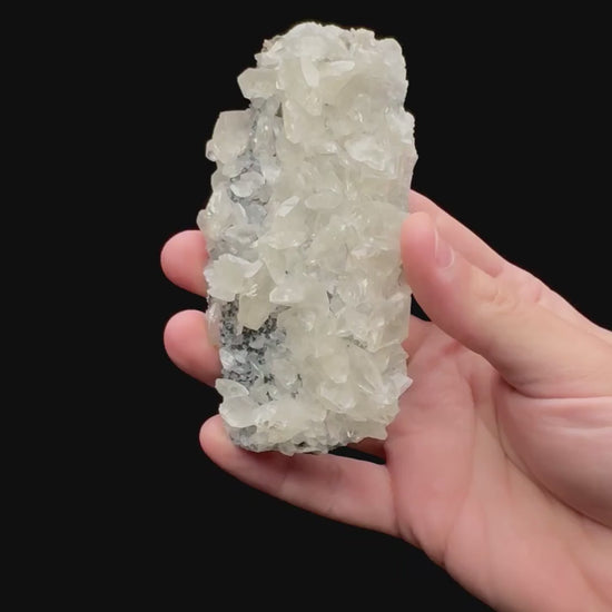 Specimen rotation video 105