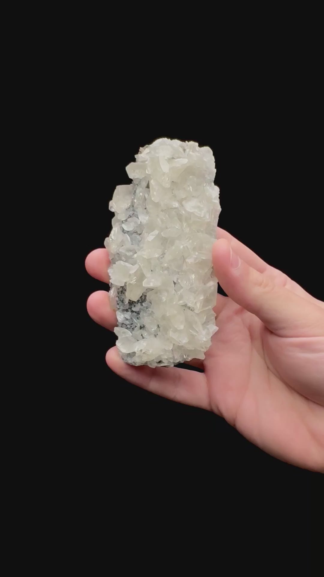 Specimen rotation video 105