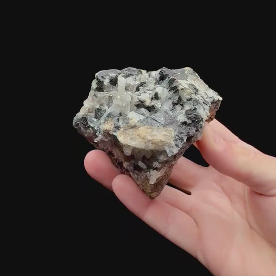 Specimen rotation video 214