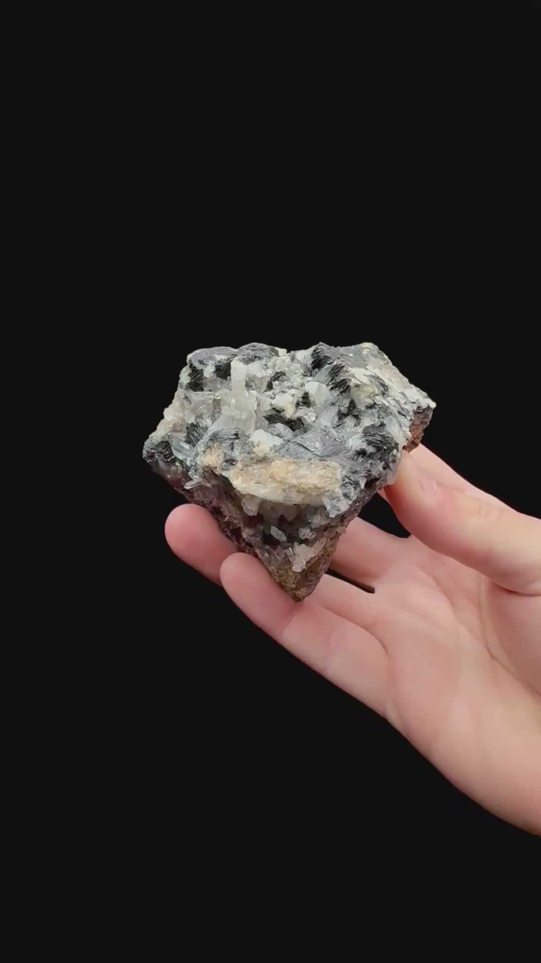 Specimen rotation video 214