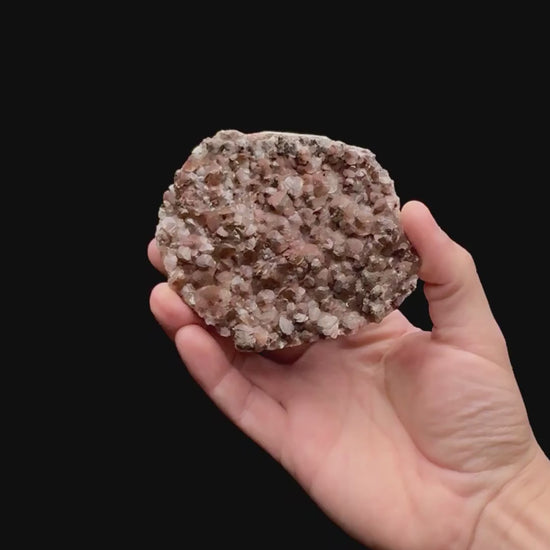Specimen rotation video 109
